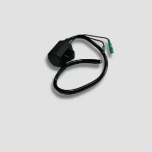 NAP0222-400x400 Coil Ignition Victor Gl product image