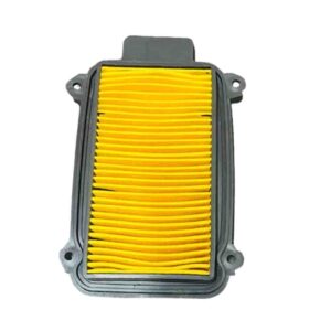 Engine Air Filter for Hero Pleasure