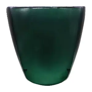 Windscreen Visor for Passion Pro Digital