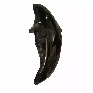 Front Mudguard Black Bajaj CT 100B