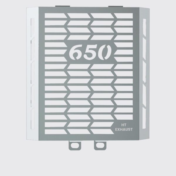 gt-650-interceptor-650-radiator-gaurd-ss-sb-978 Radiator Guard for Royal Enfield Interceptor 650