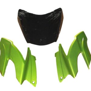 Apache RTR 160 180 CC Headlight Visor