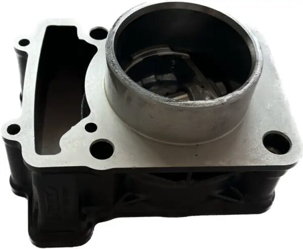 Duke 200 Cylinder Kit for KTM