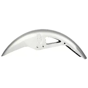 Splendor Silver Mudguard