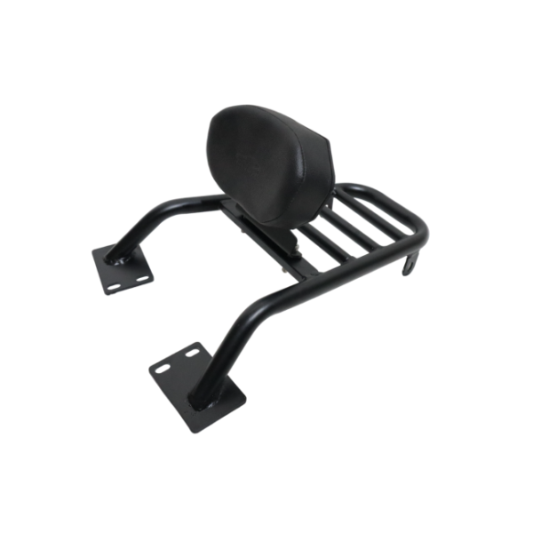 Gixxer 250 Pipe Carrier with Backrest