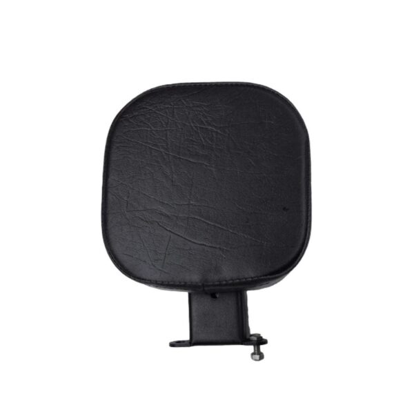 Custom Backrest for Harley Davidson X440
