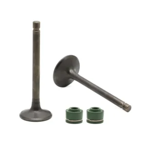 Valve Set for Bajaj Vikrant