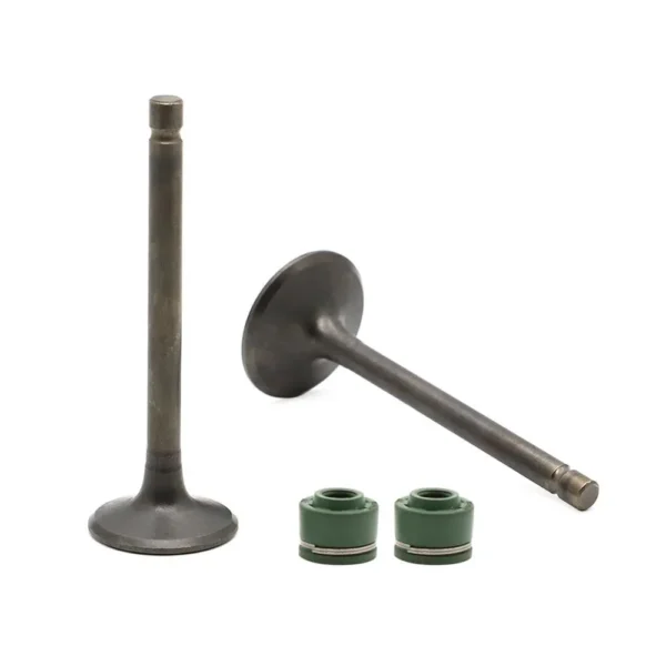 Valve Set for Bajaj Vikrant