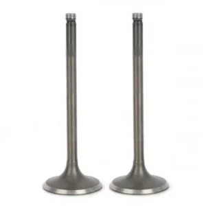 valve-set-honda-shine-stunner Valve Set for Honda Shine Stunner