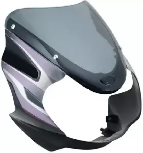 Discover 125 CC Visor Black Purple