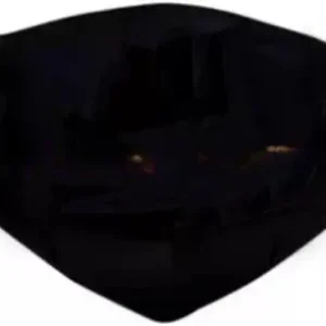 Visor Glass for Maestro Old