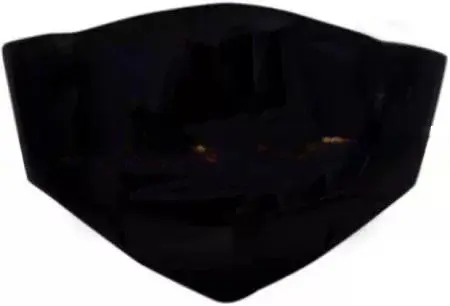 Visor Glass for Maestro Old
